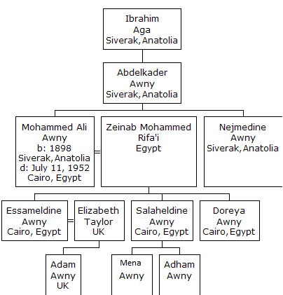 family tree